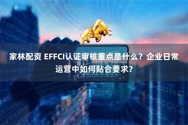 家林配资 EFFCI认证审核重点是什么？企业日常运营中如何贴合要求？