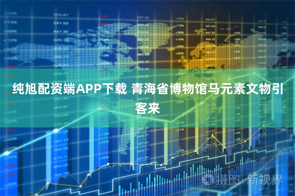纯旭配资端APP下载 青海省博物馆马元素文物引客来