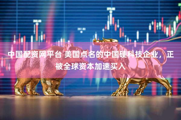 中国配资网平台 美国点名的中国硬科技企业，正被全球资本加速买入